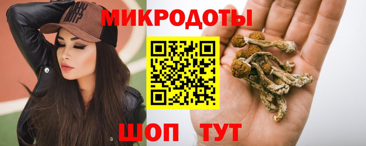 Псилоцибиновые грибы мицелий Коммунар